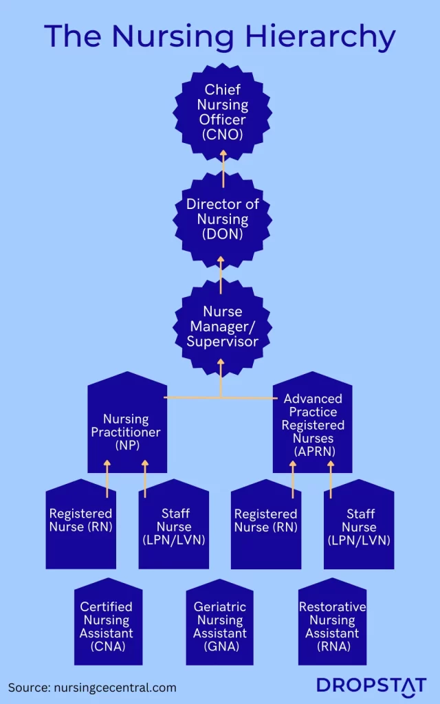 Diagram of the nursing hierarchy with the chief nursing officer at the top of the hierarchy - Dropstat