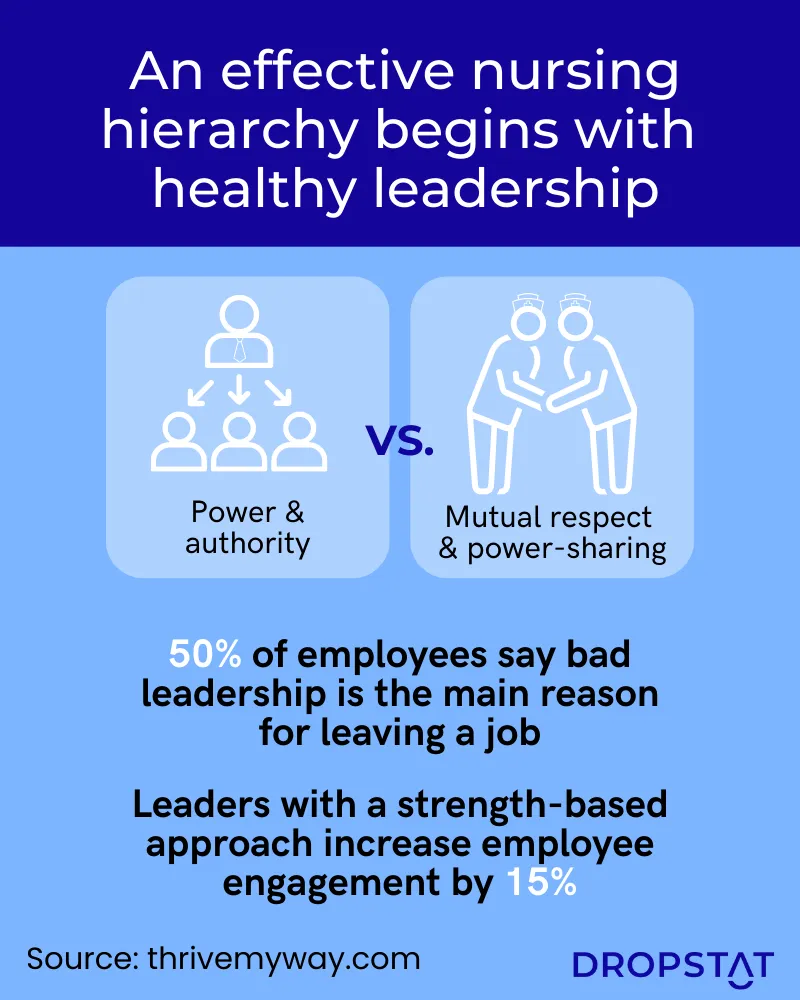 An effective nursing hierarchy begins with healthy leadership - Dropstat